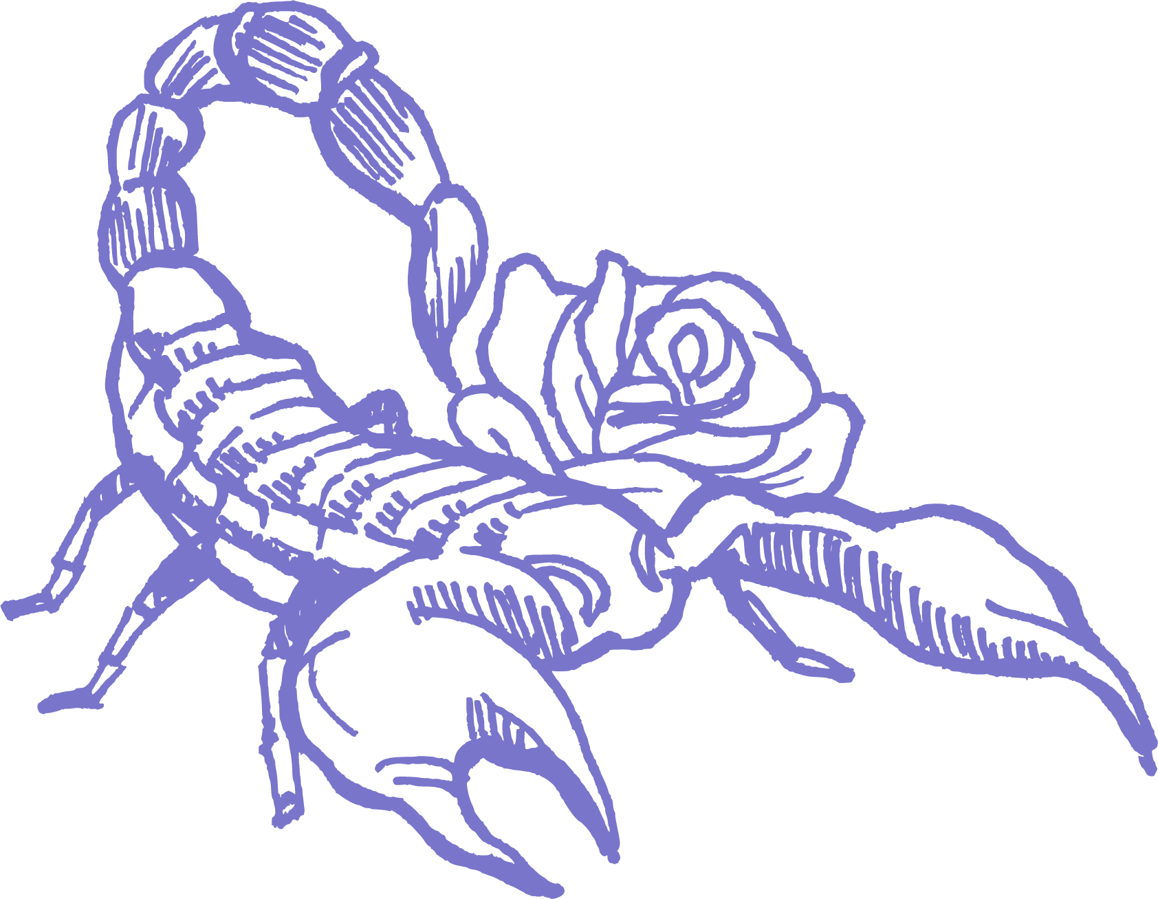 Scorpione