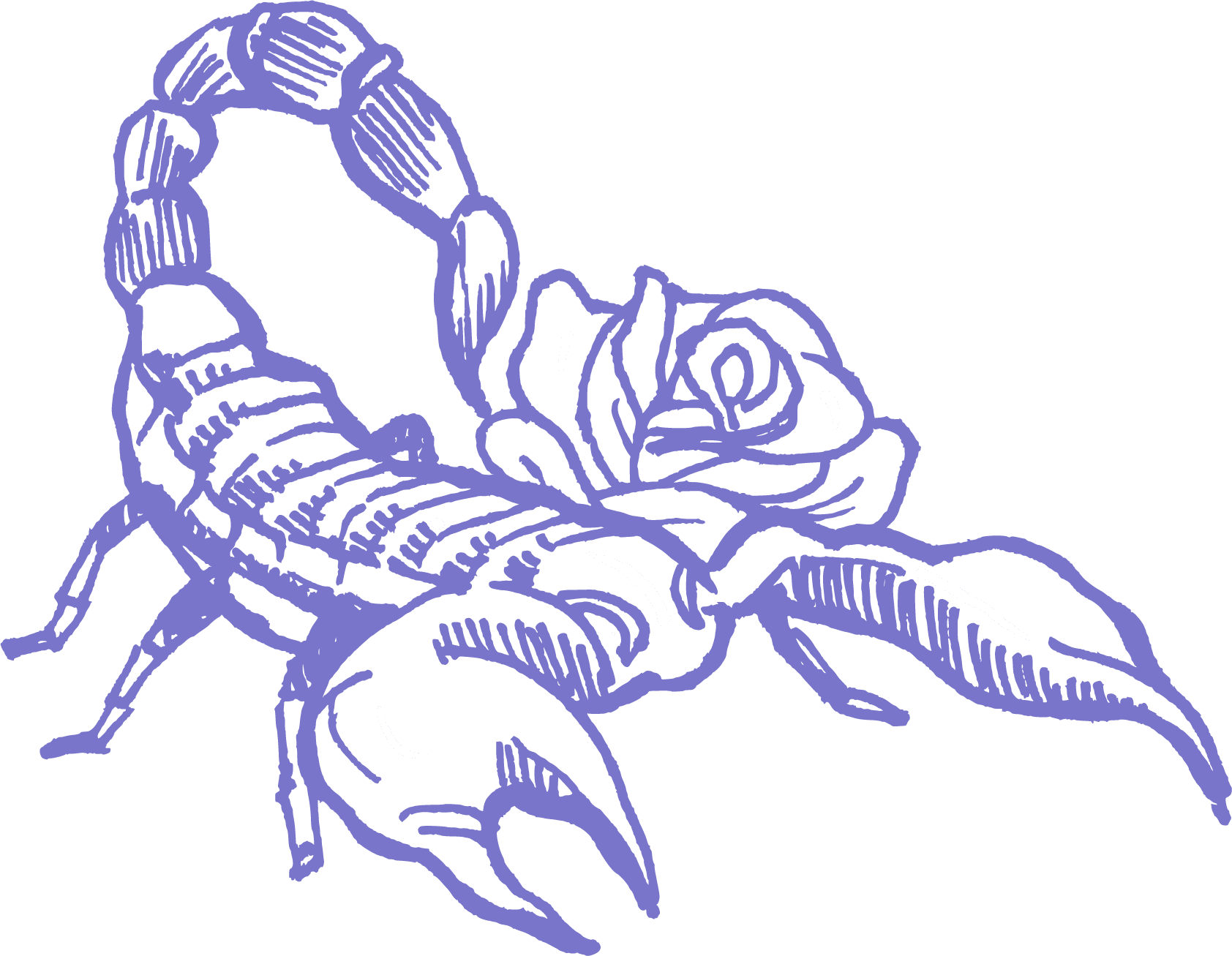 Scorpione